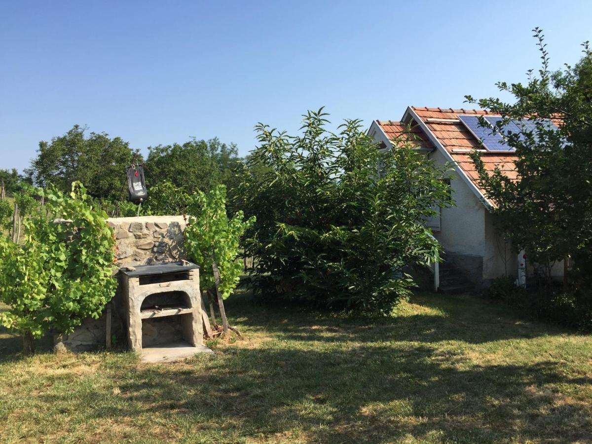 Csobanc Szerelem-nemzeti Park-oenallo Haz - Klimatizalt Будинок відпочинку *